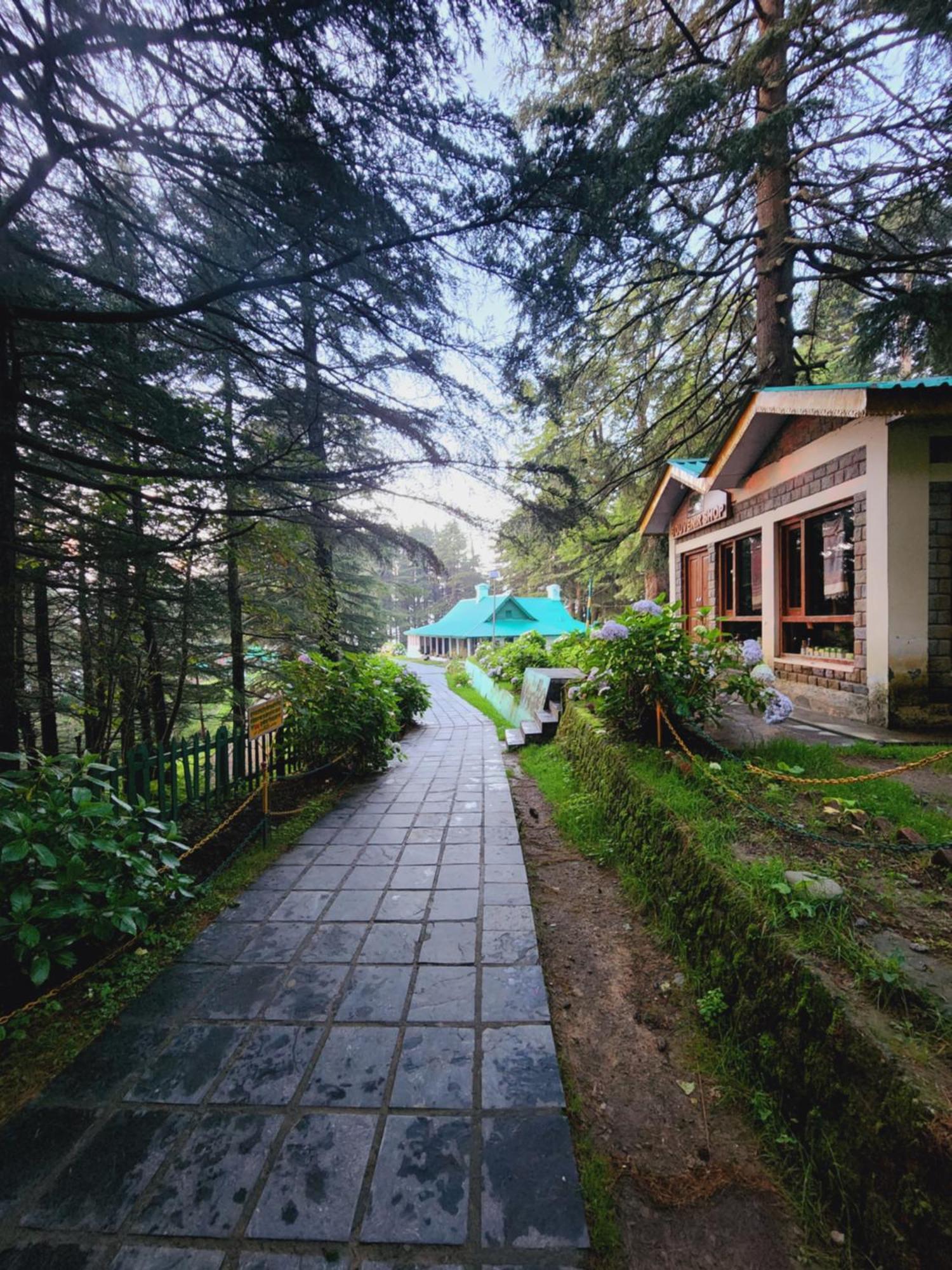 Отель Smarthill Kalatop-Nature'S Heaven Далхаузи Экстерьер фото